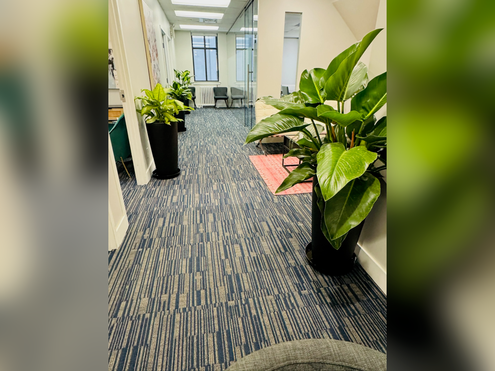 Toronto clinic interior