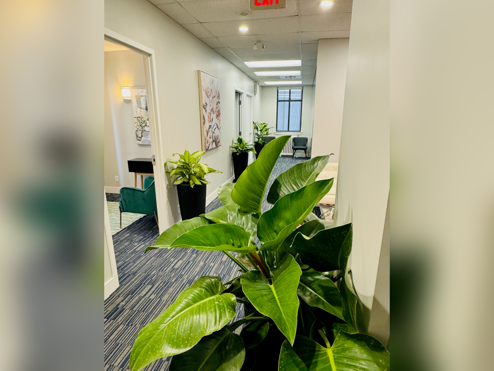 Toronto clinic interior
