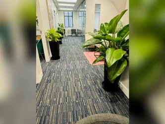 Toronto clinic interior