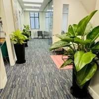 ClinicInteriorToronto02 Toronto clinic interior